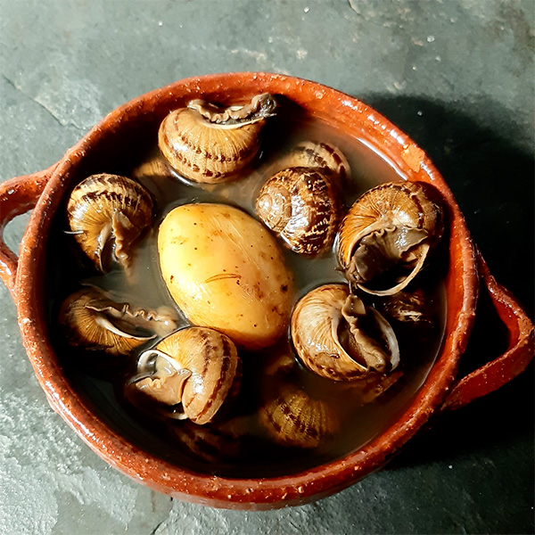 Caracois a Algarvia